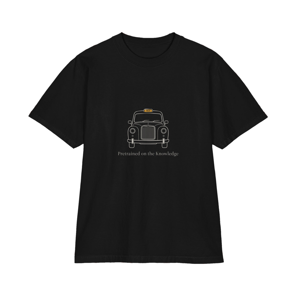 Pretrained on the Knowledge Heavyweight Oversized T-shirt